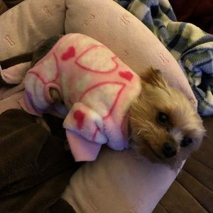 Meet your Posher, Ann